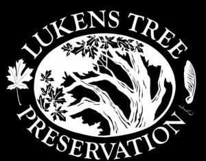 logo-lukens-tree